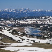 IMG 4474