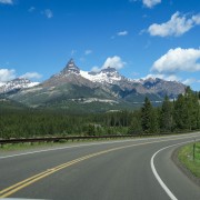 IMG 4487