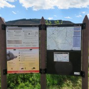 IMG 4496