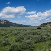 IMG 4503