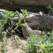 IMG 4505