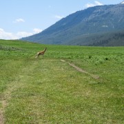 IMG 4510