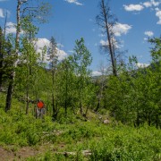 IMG 4523