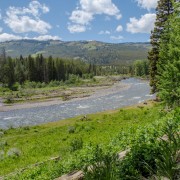 IMG 4524