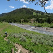 IMG 4526