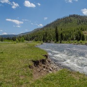 IMG 4531