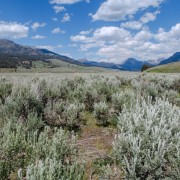 IMG 4543