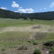IMG 4554