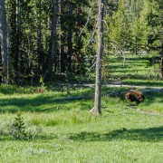 IMG 4696