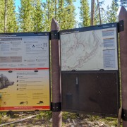IMG 4706