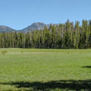 IMG 4713