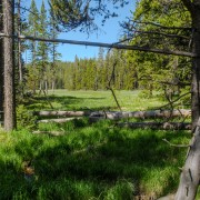IMG 4718