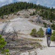 IMG 4776