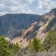 IMG 4778