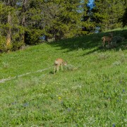 IMG 4786