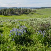 IMG 4796