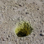 IMG 4801