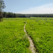 IMG 4811