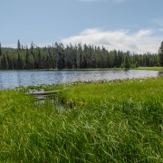 IMG 4829