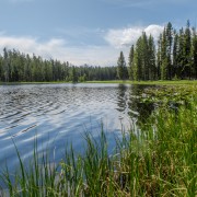 IMG 4832