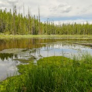 IMG 4851