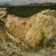 IMG 4855