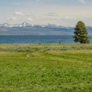 IMG 4885