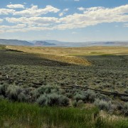 IMG 5159