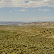 IMG 5166