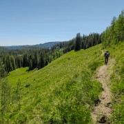 IMG 5329