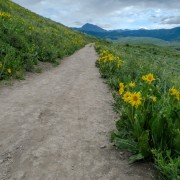 IMG 5561
