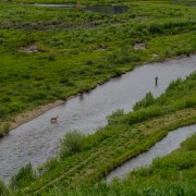IMG 5604