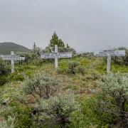 IMG 5648