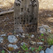 IMG 5655