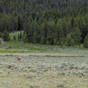 IMG 5668