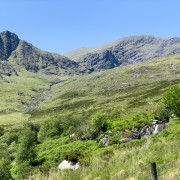 IMG 4446