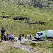 IMG 4459