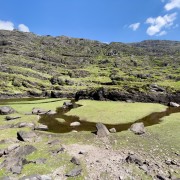IMG 4472