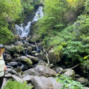 IMG 4526