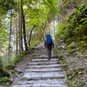 IMG 4530