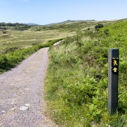 IMG 4541