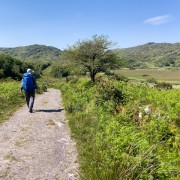 IMG 4547