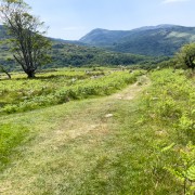 IMG 4552