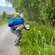 IMG 4577