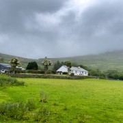 IMG 4595