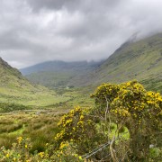 IMG 4631