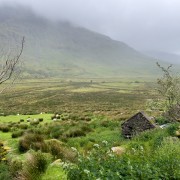 IMG 4667