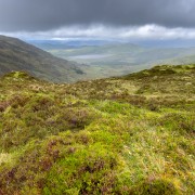 IMG 4689