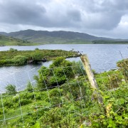 IMG 4725
