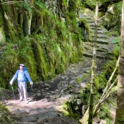 IMG 4747
